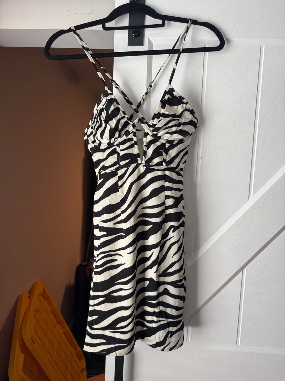 Zebra Print Mini Dress - Black & White Stripes